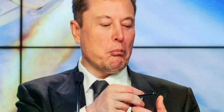 A nova inteligência artificial de Elon Musk pode espelhar suas crenças pessoais? Especialistas acendem o sinal vermelho.
